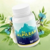 Just Check Out Key Details About Alpilean Supplement